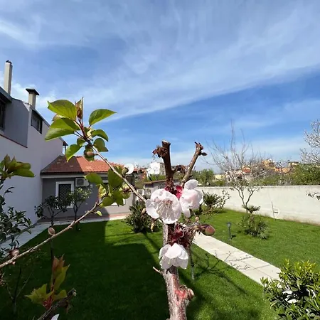 Elisa Holiday home *